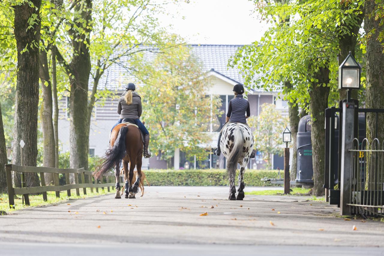 Human & Horse Hotel Kootwijkerbroek Exteriör bild