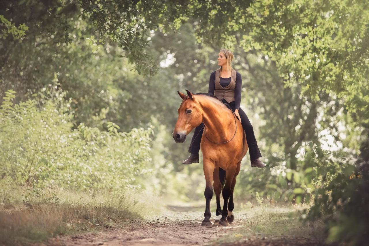 Human & Horse Hotel Kootwijkerbroek Exteriör bild